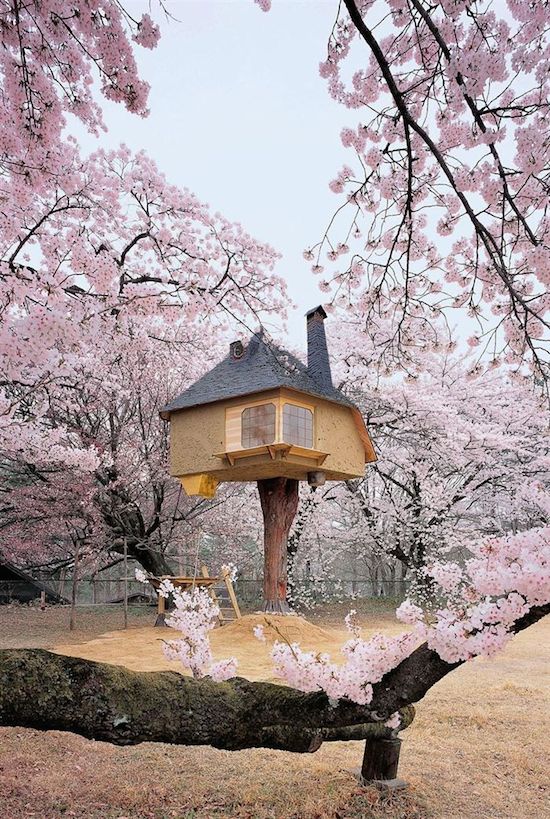 dd7ca3c45d693e5a9ddb1bd4eddbdbfd