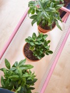 006__Cut+Architecture_PNY+Marais+_013Copyright+David+foessel