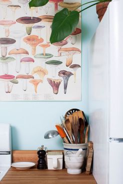 75a4a8621a30fd5f017e41d4a2027954