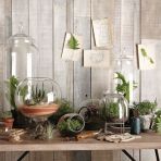 97e3117e401800406a3575a380c86a1c