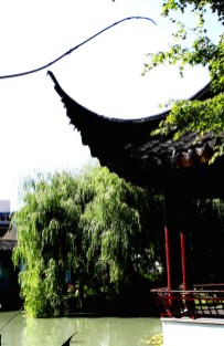 Classical Chinese Garden 1