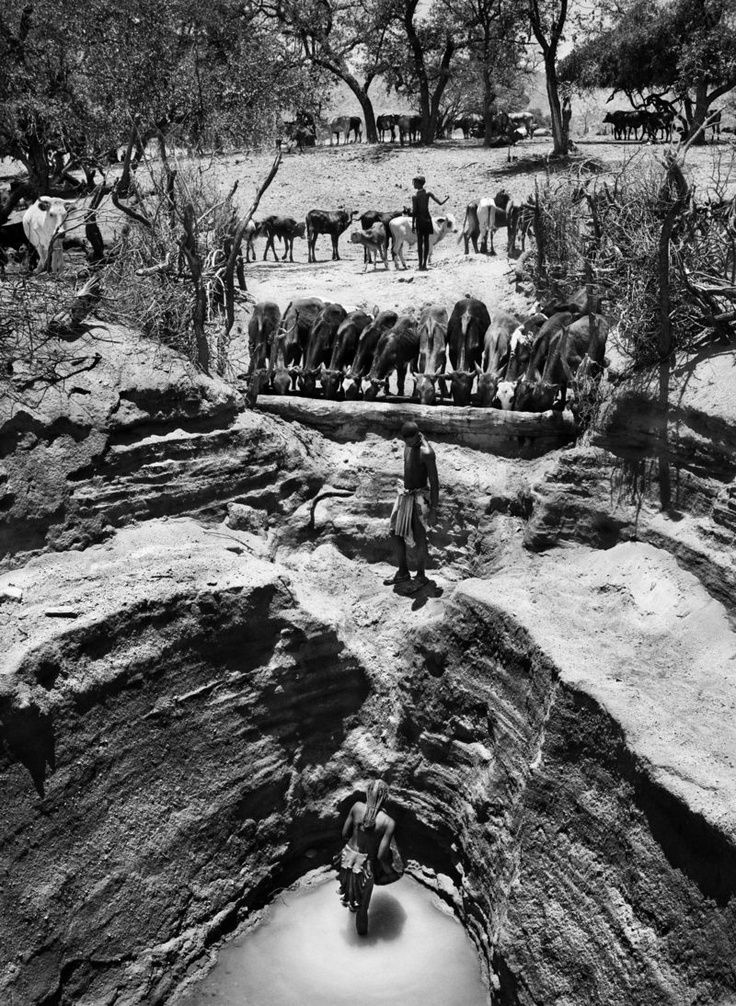 cac3b7a5845b253e8eb07409281b54b2