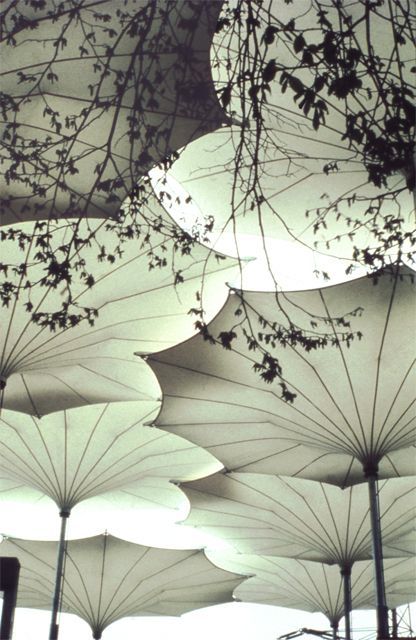 2b57891cdbef770999335567498de8e8