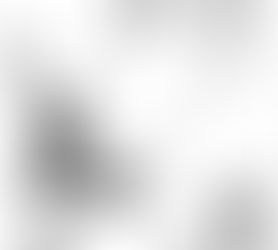 ¡Hay que ser&nbsp;animal!