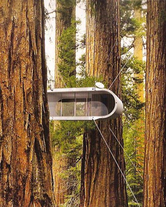 867c6b65df1a2aaee6c34d0aebad889f