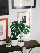 8989ae9b8b6c5b28f081fdd86595a4b1