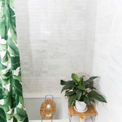 43d50b21da3fb6facbba9fcfc438a594