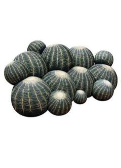 eddd433d13485d5c4bc57544b9786df7