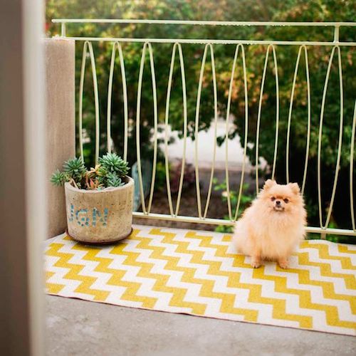 d05b9099d77cfb904ec91ab54a40eb89