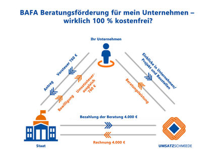 BAFA Beratungsförderung für mein Unternehmen - wirklich 100 % kostenfrei?