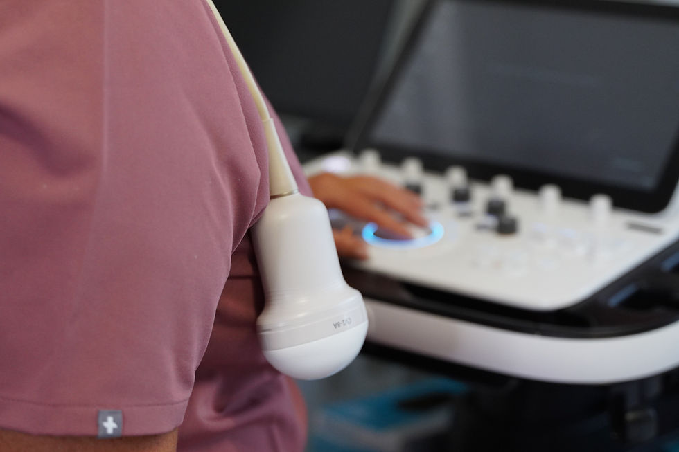 3d/4d ultrasound training