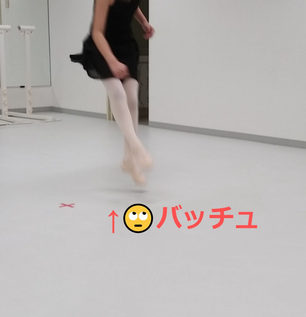 2月からのVa/レパートリークラス