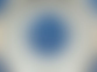 Porcelaines chinoises et vietnamiennes