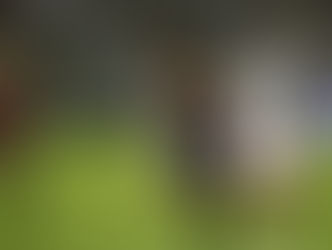 Liga1: el Torneo Apertura obtuvo luz verde para volverse a jugar