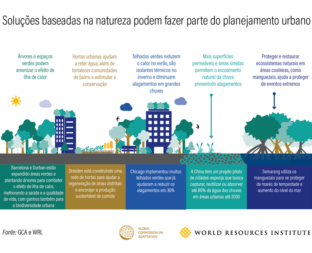 SbN: Soluções Baseadas na Natureza, você sabe o que é?