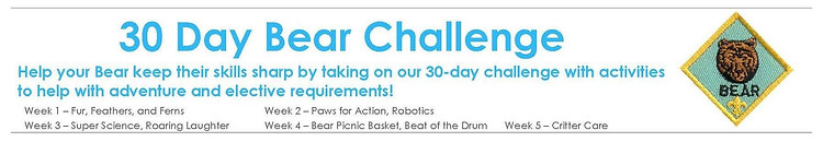 30 Day Bear Challenge.jpg