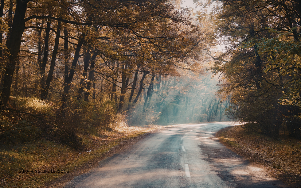 A quiet, winding path through the trees with sunlight peeking through, symbolizing emotional healing and peace