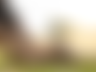 A person plants a sapling, symbolizing growth, hope, and healing.