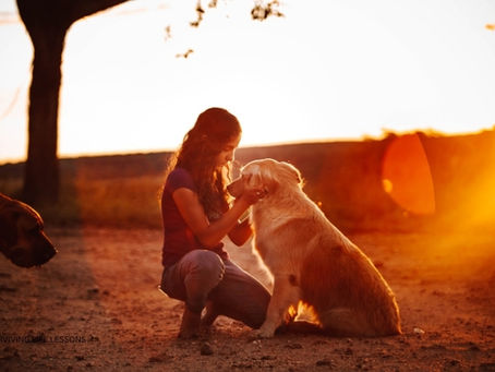 A woman bends down to interact with her dogs, showing care and affection, symbolizing kindness even when the world can be harsh.