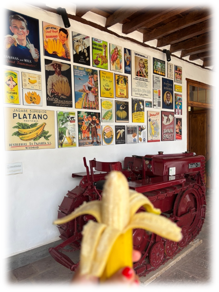 Bananerie à icid de los vinos