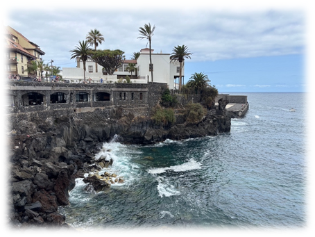 Que faire à Tenerife ? Mon itinéraire, mes coups de cœur et mes conseils.