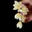 Thumbnail: Handmade light yellow flower hairpin