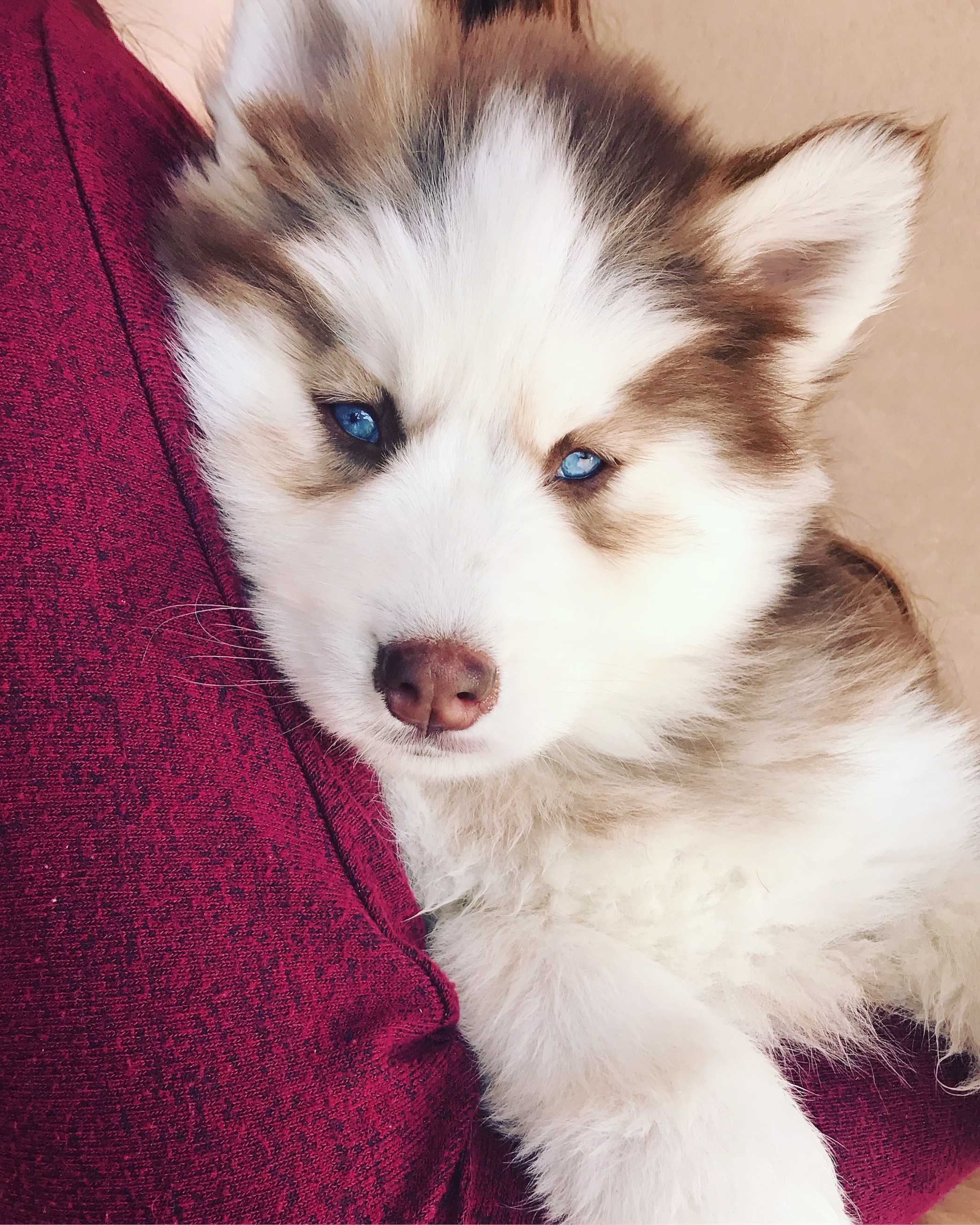Ruby