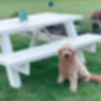 Picnic Table-2