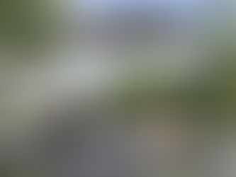 Business Case: Sales Manager Noordwest-Duitsland voor Platinum