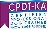 CCPDTLogo.jpeg