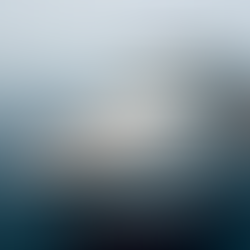 Why a Holland America Cruise is a Family Travel Win