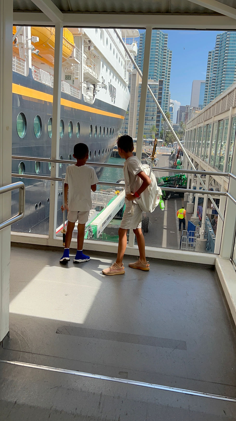 the disney wonder disney cruise