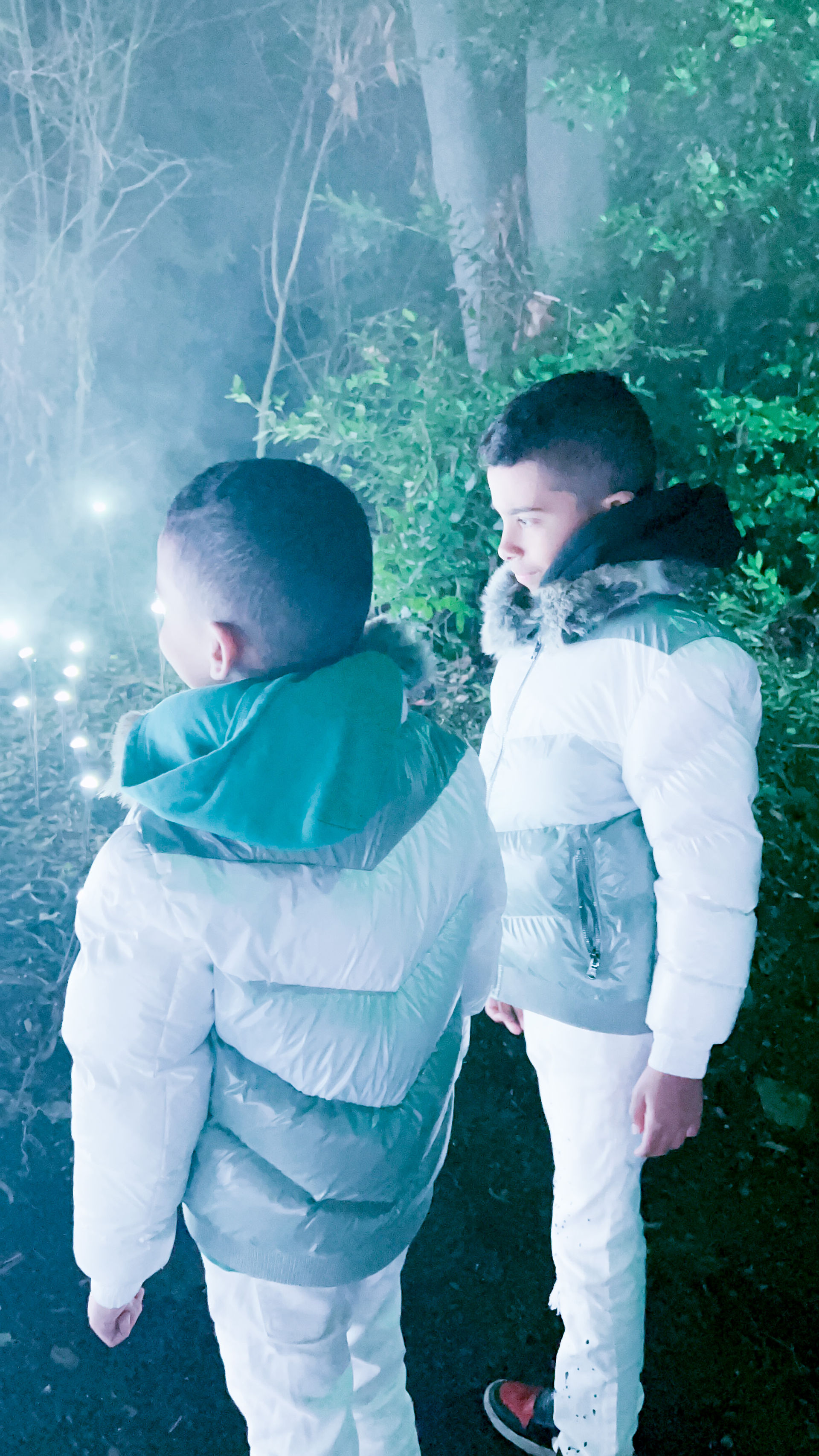Astra Lumina Los Angeles - AN ENCHANTED NIGHT WALK AMONGST THE STARS