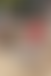 Unforgettable Adventure at Country Campout Weekend 2024