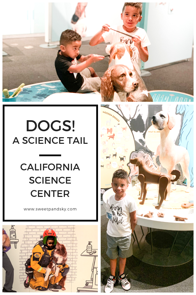 Dogs! A Science Tail | California Science Center | Sweet P and Sky