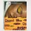 Миниатюра: Книга Dazed: 30 Years Confused: The Covers