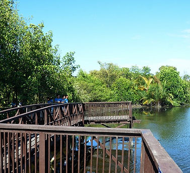 Zamboanga Bird Festival 2016 (4)_edited.jpg