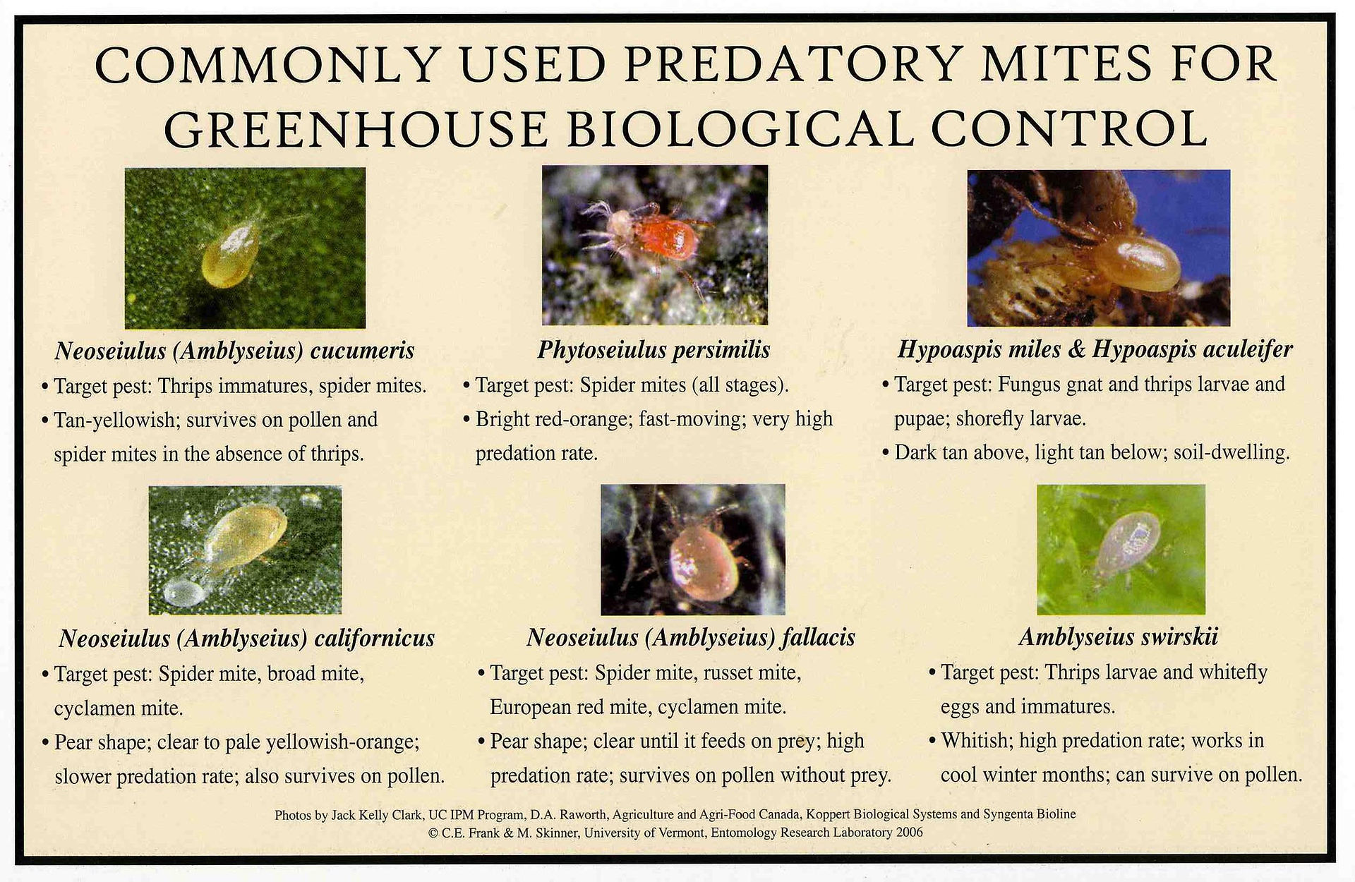 Source: University of Vermont IPM Greenhouse Pests, Biological Controls & Plant Mediated IPM Systems