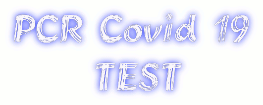 PCR COVID TEST.gif