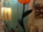 IMG_0465 (2)