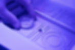 SEMEAR fertilidade | PRESERVAÇÃO DA FERTILIDADE