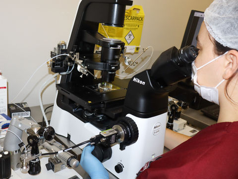 SEMEAR fertilidade Jundiaí - Laboratório de Reprodução Assistida 4