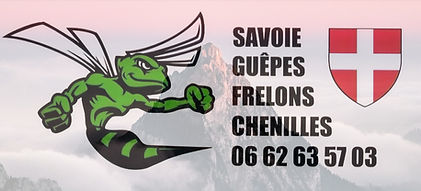 Savoie guepes frelons chenilles spécialiste de la désinsectisation professionnelle intervention rapide et garantie chambéry