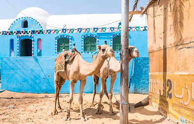Nubian