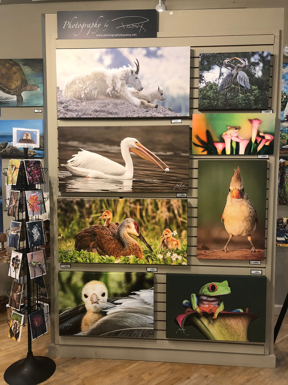 J&J Galler Lakewood Ranch Florida