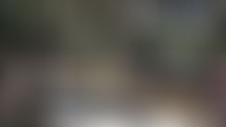 10km de Castillon - l'édition 2010