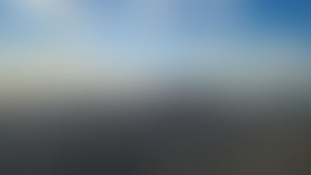 Novembre 2016 : New York city Marathon