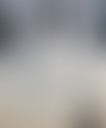 The Nine by Gwen Strauss