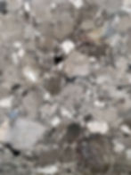 Breccia Carsica