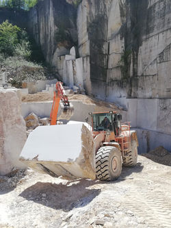 Aurisina Quarry